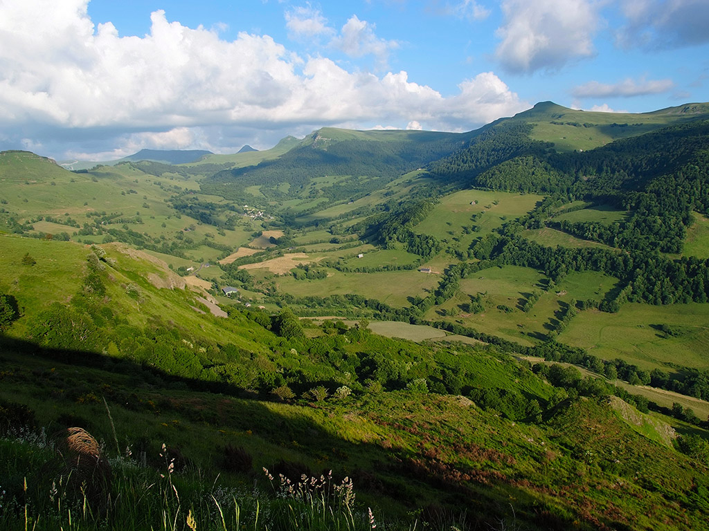 Paysage vallonné