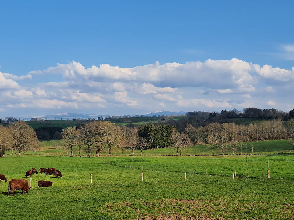 Le hameau de Contres au printemps